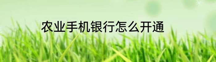 农业手机银行怎么开通