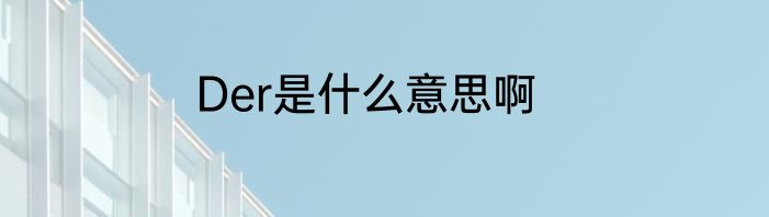 Der是什么意思啊