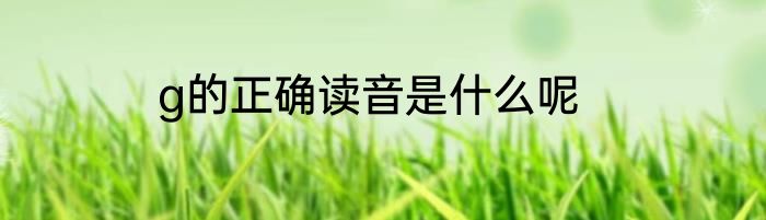 g的正确读音是什么呢