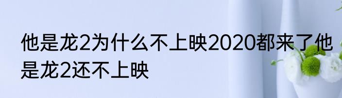 他是龙2为什么不上映2020都来了他是龙2还不上映