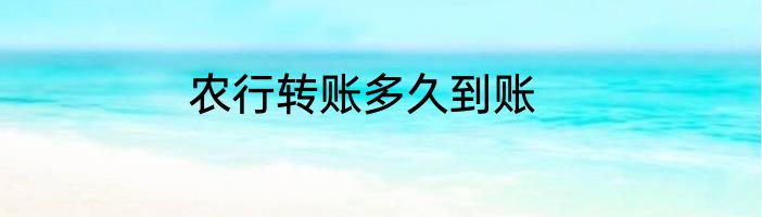农行转账多久到账
