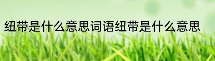 纽带是什么意思词语纽带是什么意思