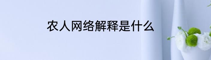 农人网络解释是什么