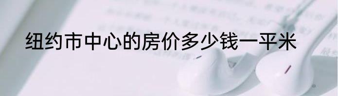 纽约市中心的房价多少钱一平米