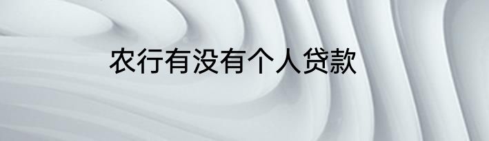 农行有没有个人贷款