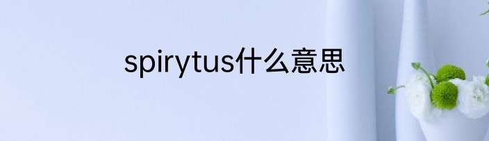 spirytus什么意思