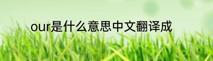 our是什么意思中文翻译成