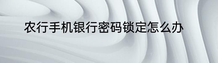 农行手机银行密码锁定怎么办