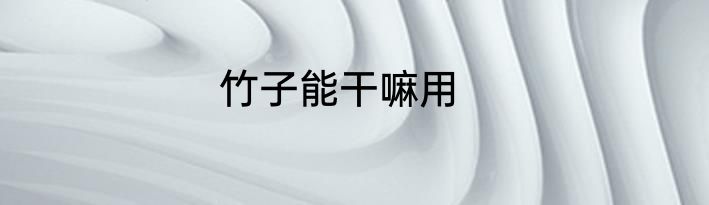 竹子能干嘛用