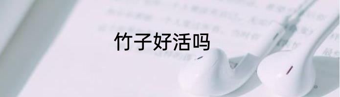 竹子好活吗