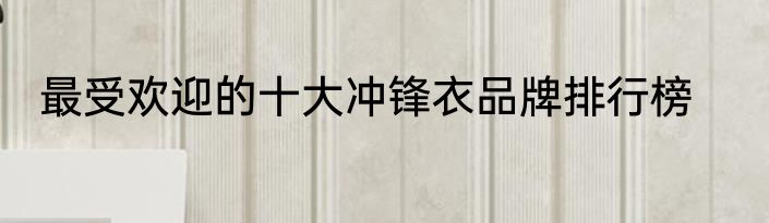 最受欢迎的十大冲锋衣品牌排行榜