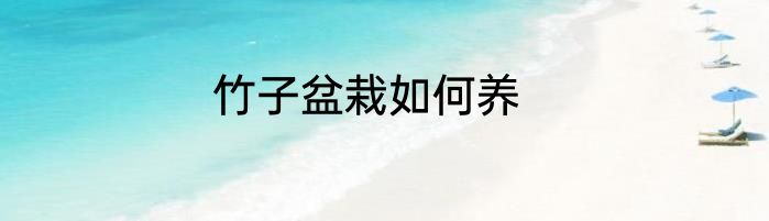 竹子盆栽如何养