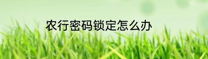 农行密码锁定怎么办