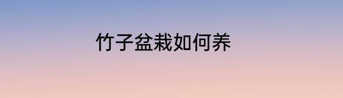 竹子盆栽如何养