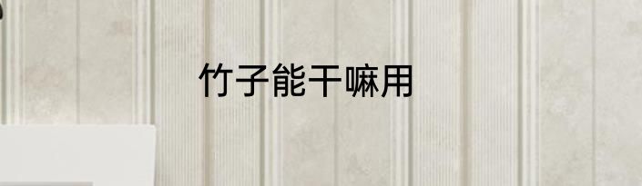竹子能干嘛用