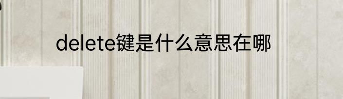 delete键是什么意思在哪