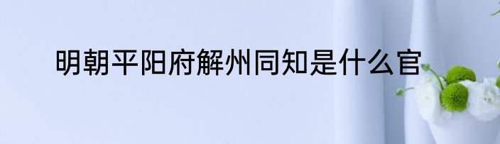 明朝平阳府解州同知是什么官