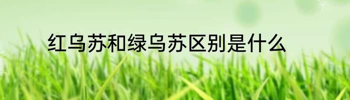 红乌苏和绿乌苏区别是什么