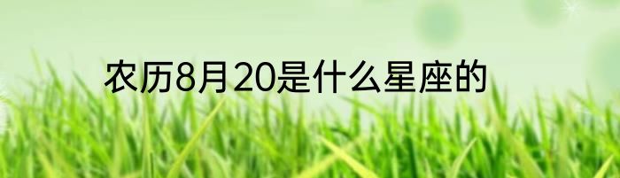 农历8月20是什么星座的
