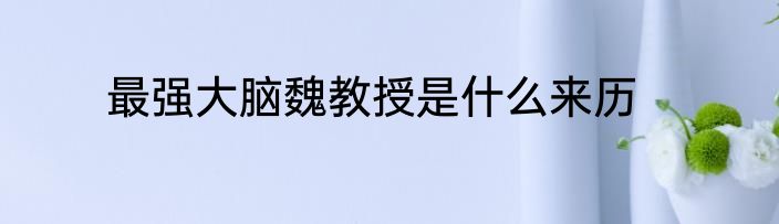 最强大脑魏教授是什么来历