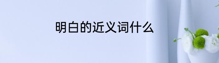 明白的近义词什么