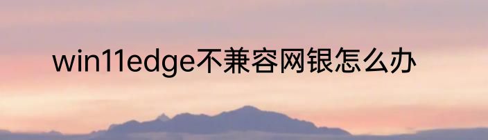 win11edge不兼容网银怎么办