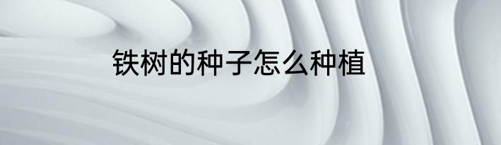 铁树的种子怎么种植