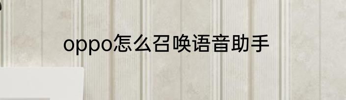 农家小炒鸡的烹饪技巧分享
