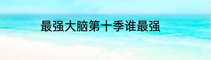 最强大脑第十季谁最强