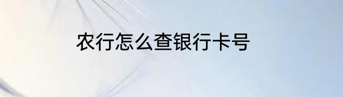 农行怎么查银行卡号