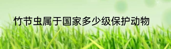 竹节虫属于国家多少级保护动物