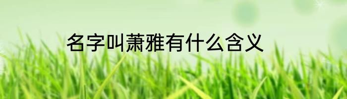 名字叫萧雅有什么含义