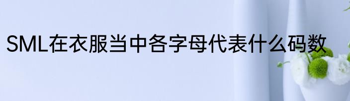 SML在衣服当中各字母代表什么码数