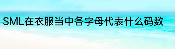 SML在衣服当中各字母代表什么码数