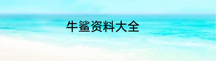 牛鲨资料大全