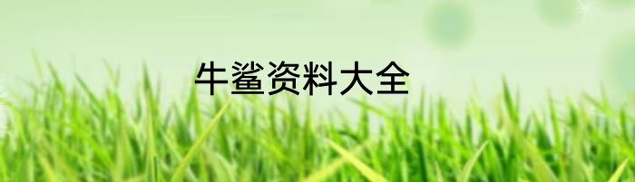 牛鲨资料大全