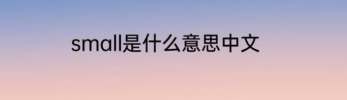 small是什么意思中文