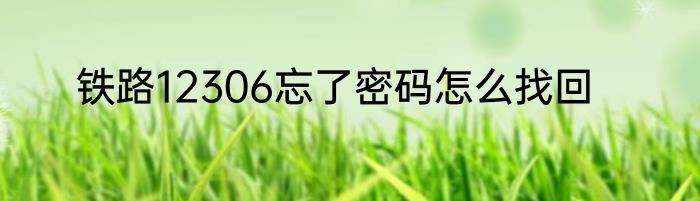 铁路12306忘了密码怎么找回
