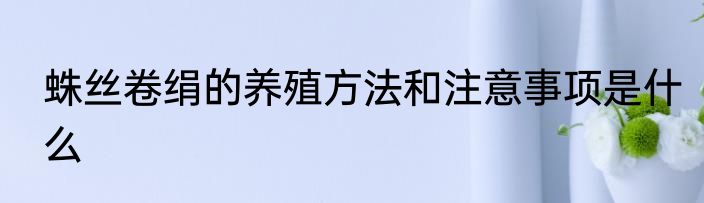 蛛丝卷绢的养殖方法和注意事项是什么