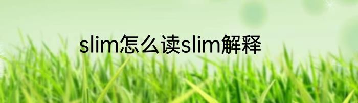 slim怎么读slim解释