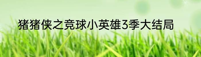 猪猪侠之竞球小英雄3季大结局