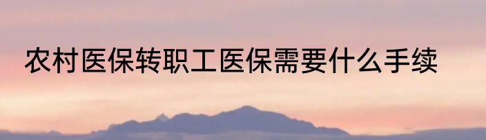 农村医保转职工医保需要什么手续