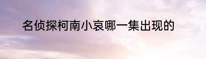 名侦探柯南小哀哪一集出现的