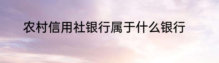 农村信用社银行属于什么银行
