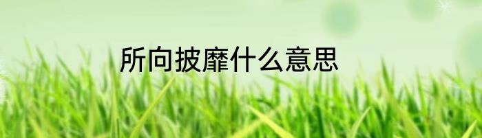 所向披靡什么意思