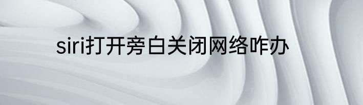 siri打开旁白关闭网络咋办