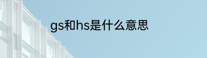 gs和hs是什么意思