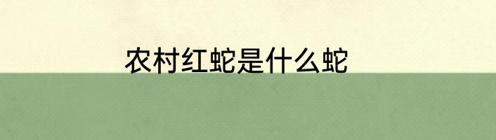 农村红蛇是什么蛇