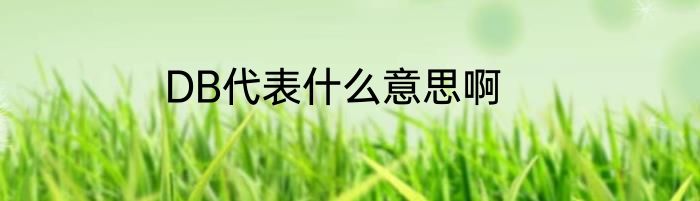 DB代表什么意思啊