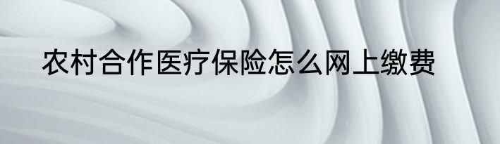 农村合作医疗保险怎么网上缴费